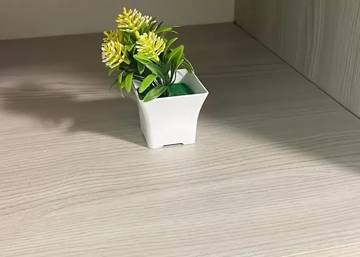 La Stradina バルレッタ